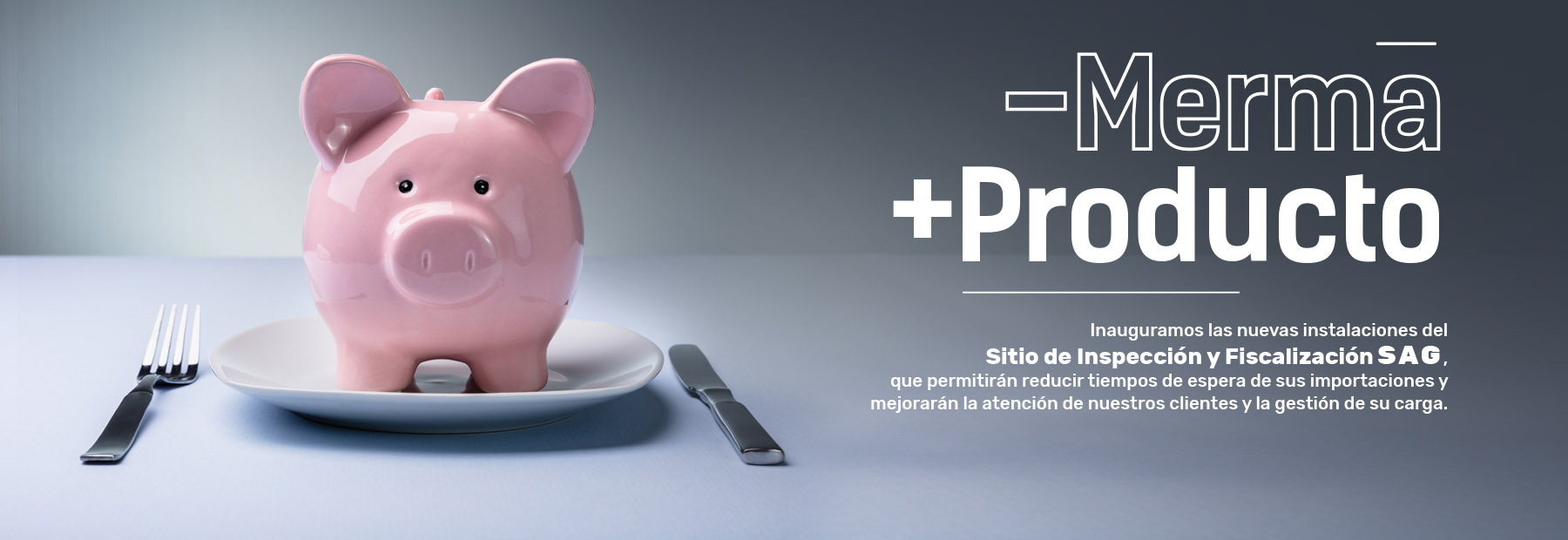 Hero_Desktop_PtoColumbo_Chancho