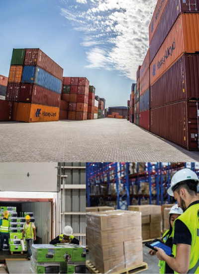 SERVICIOS A LA CARGA c@4x